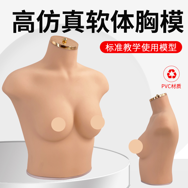 란제리 및 브래지어 쇼윈도 디스플레이 사진 촬영용 소품 여성 반신 실리콘 소프트 실물 마네킹 75B/C 가슴 모델 제품 이미지