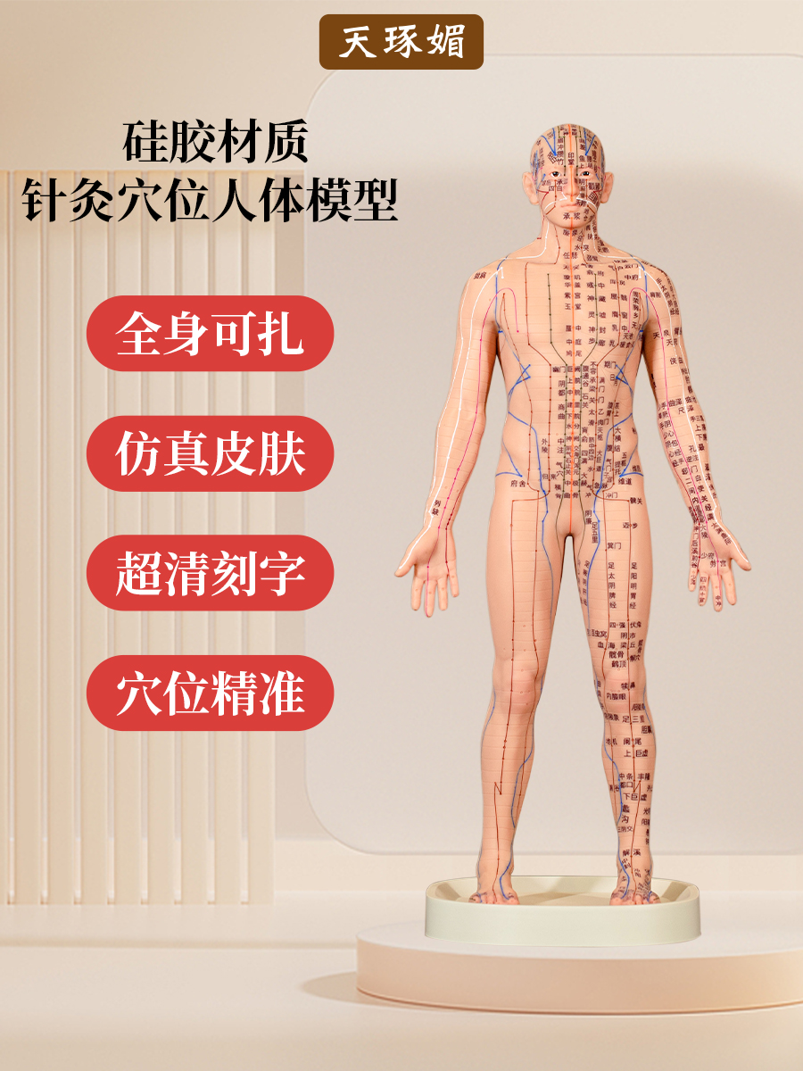 전통 중의학 침술 인체 모형 경락 및 경혈 전신 표준 실물 크기의 실리콘 미니어처. 제품 이미지