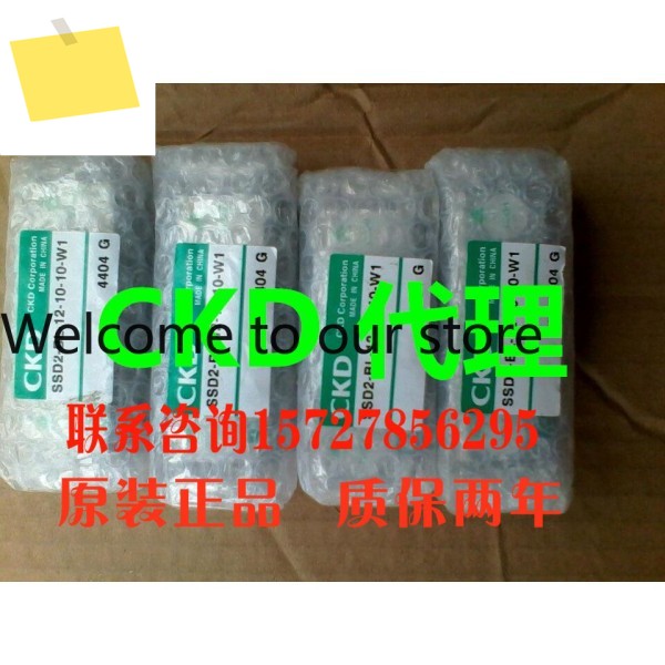 CKD 실린더 SSD2-L-40-50-T2H5-D-N-W1 SSD2 풀 시리즈 제품 이미지