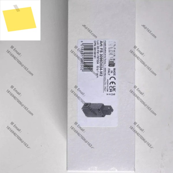 1pcs-Pizzato 이탈리아 수입 안전 도어 잠금 스위치 FS 3096D024-M2 제품 이미지