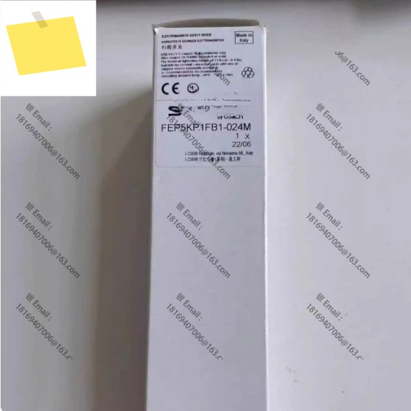 1pcs 이탈리아 수입 보안 도어 잠금 장치 FEP5KP1FB1-024M 제품 이미지
