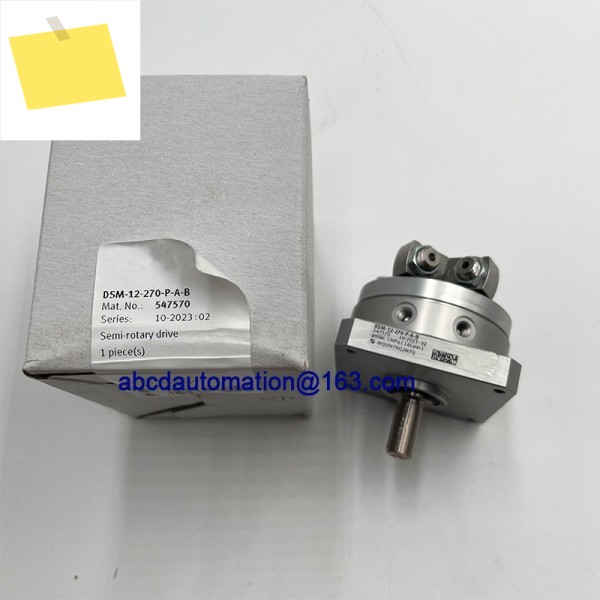 기존 DSM-12-270-P-A-B 547570 스윙 실린더 제품 이미지