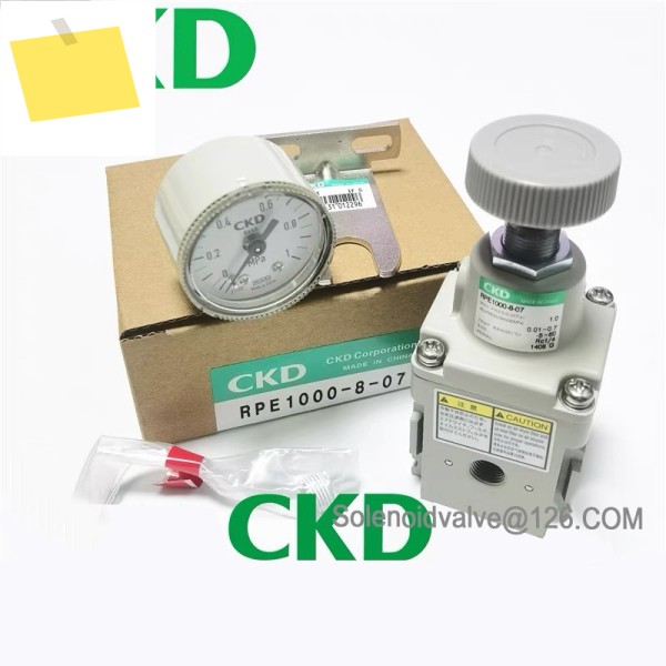 CKD RPE1000-8-07 G49P 정밀 감압 밸브 제품 이미지