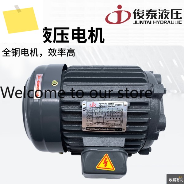 Juntai AEEH 유압 스테이션 오일 펌프 내부 샤프트 모터 1 2 3 5HP 0.75 2.2 5.5KW 제품 이미지