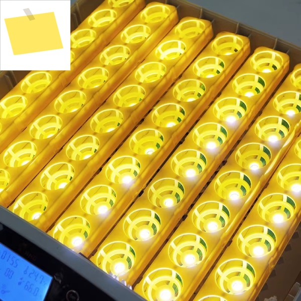 완전 자동 회전식 인큐베이터, 5541개의 수정란 가능, 새 제품 세트, LED 계란 검란기 내장 제품 이미지