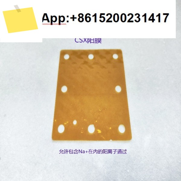 일본 ASTOM 이온막 AGU CSX 및 저저항 제품 이미지