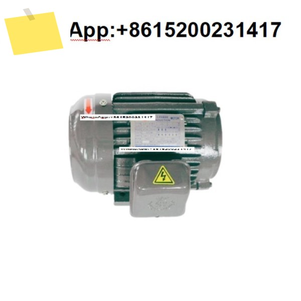 대만 S-Y Qunce 수력 발전소 특수 모터 0.75kw 제품 이미지