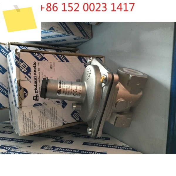 Giuliani anello MS20 DN20, 가스 릴리프 밸브 제품 이미지