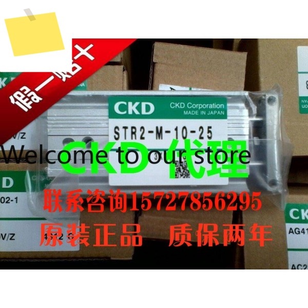 일본 CKD STR2-B-10-20 실린더 STR2 풀 시리즈 제품 이미지