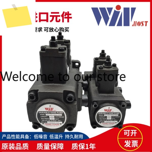 WINMOST Fengchang VP-DF-30D-30D 122040 ABC - 이중 오일 펌프 제품 이미지