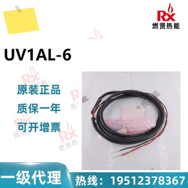 US Fireye 화재 검사 UV 전기 눈 UV1AL-6 300 신품 1년 제품 이미지