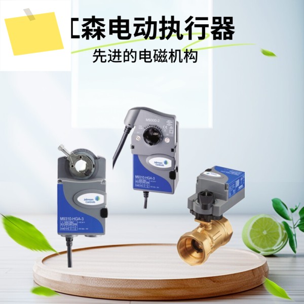 Johnson VG1205FS-C+VA9310-HGA-3 조절식 볼 밸브 VG1000 전동 DN50 제품 이미지
