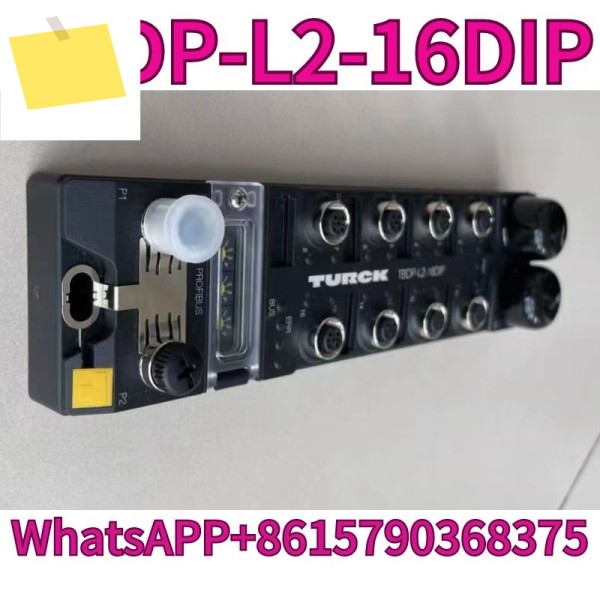 신품 TBDP-L2-16DIP 입력 모듈 제품 이미지