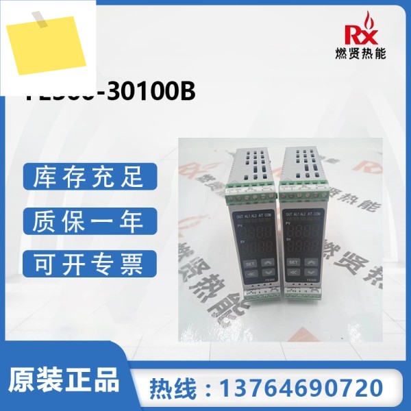 FE300-30100B 대만 TAIE 계측기 , 온도 조절기, 원래 브랜드의 신품 1년 제품 이미지