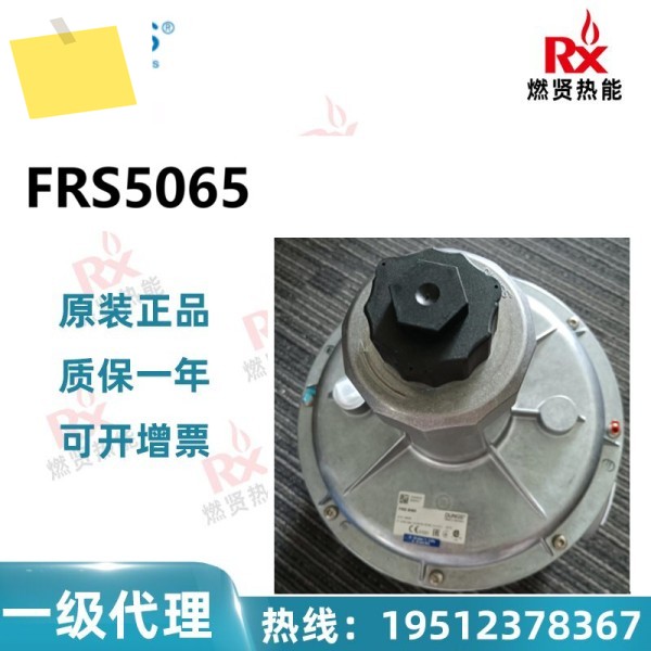 2025년 20개 , 독일 DUNGS 동시 가스 감압 밸브 FRS5065 정품 새 제품 당일 제품 이미지