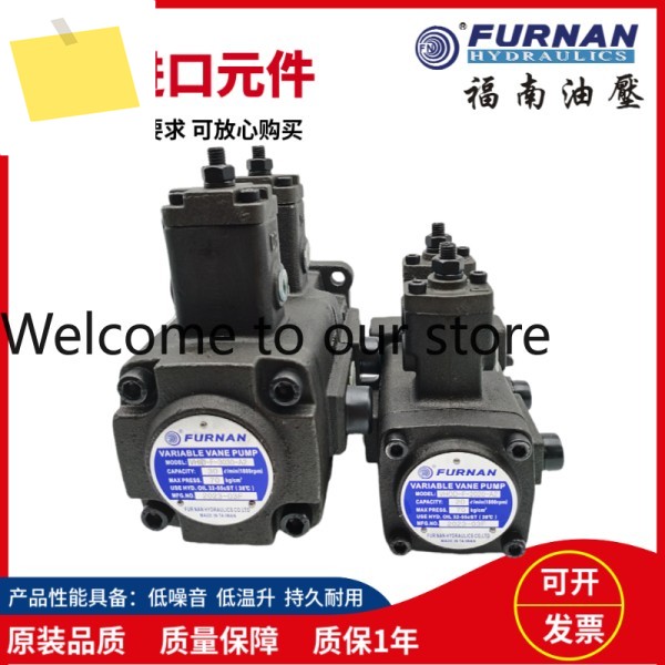 FURNAN 유압식 VHOD-F-1212151520202525-A1A2 이중 가변 베인 펌프 제품 이미지