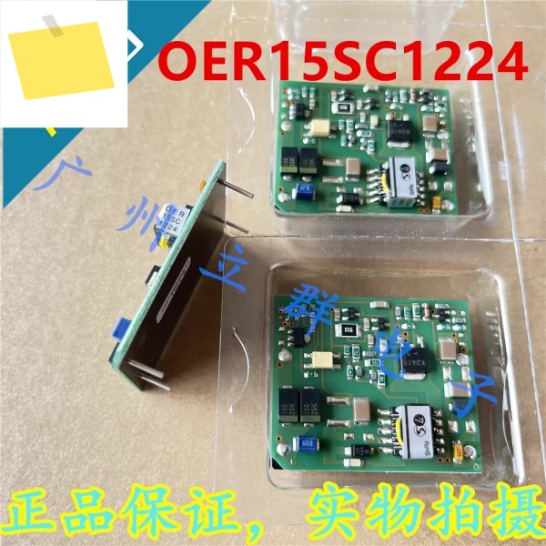 ETA-USA 입력용 1PCS 새 원본 전원 공급 장치: 12V24V 출력: 15V 6W OER15SC1224 제품 이미지