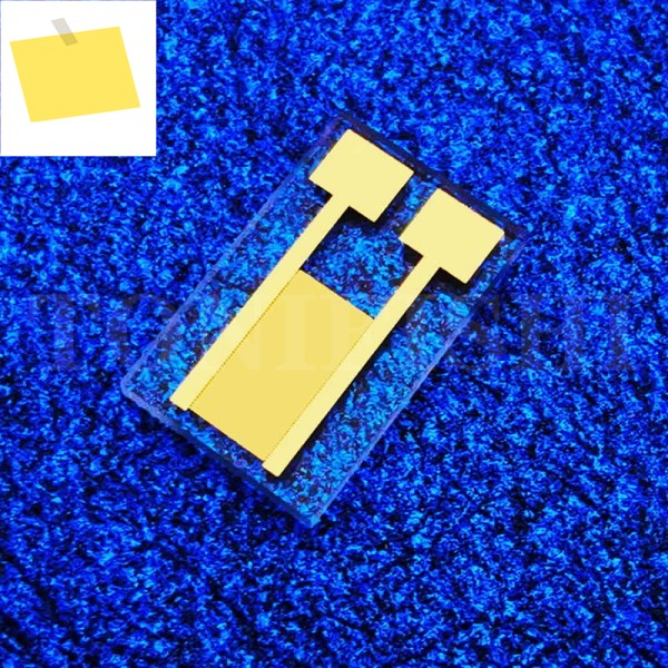 10pcs 20μm 투명 인터디지털 전극 석영 유리 캐패시터 커패시터 어레이 MEMS 가스 바이오 센서 광전 감지 제품 이미지