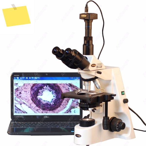 연구 복합 현미경-AmScope 공급 40X-2500X 무한대 계획 현미경 3MP USB 디지털 카메라 포함 제품 이미지