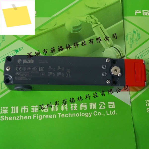 실물사진 FG 60DD1D0Z-F20 이탈리아 피자토 안전 스위치 제품 이미지