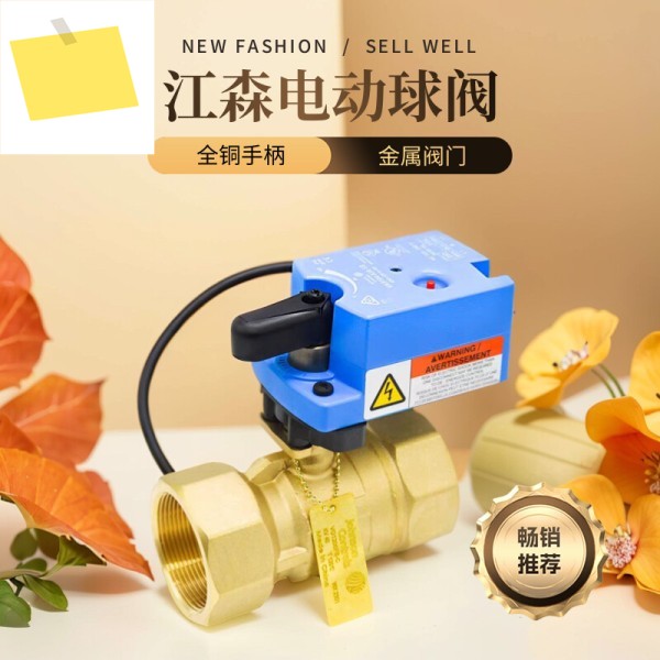 Johnson VG1205ES-C+VA9104-GGA-1S 전기 양방향 조절 볼 밸브 제품 이미지