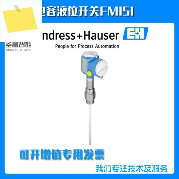 커패시턴스 레벨 미터 FMI51-A1AMRJA2A1A L1 = 260MM 제품 이미지