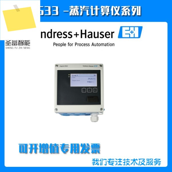 2025년형 RMS621-21AAA12A1 스팀 계산기 RS33-AA1 + AAD2를 대체하기 위해 중단됨 제품 이미지