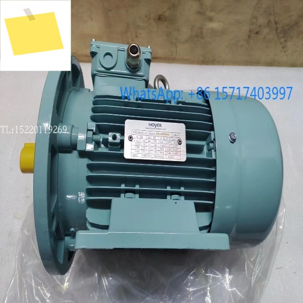 덴마크 HOYER 모터 MS100L2-4 3KW 해양 수직 및 수평 홀 제품 이미지