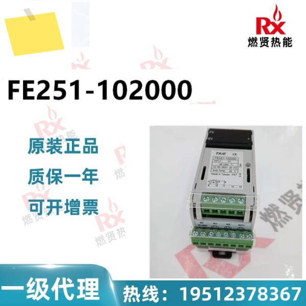 대만 TAIE 계측기, 온도 조절기 FE251-102000 100 오리지널 브랜드의 신품 품질 보증 1년 제품 이미지