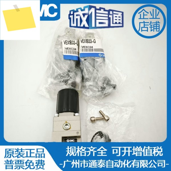 SMC 정밀 감압 밸브 AVEX1B33-G-M5 VEX1100-01 제품 이미지