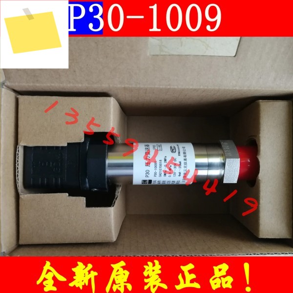 2025.4 Ruipu 삼원 압력 트랜스미터 P30-1009Y, 원본 및 정품, 주문 제품 이미지