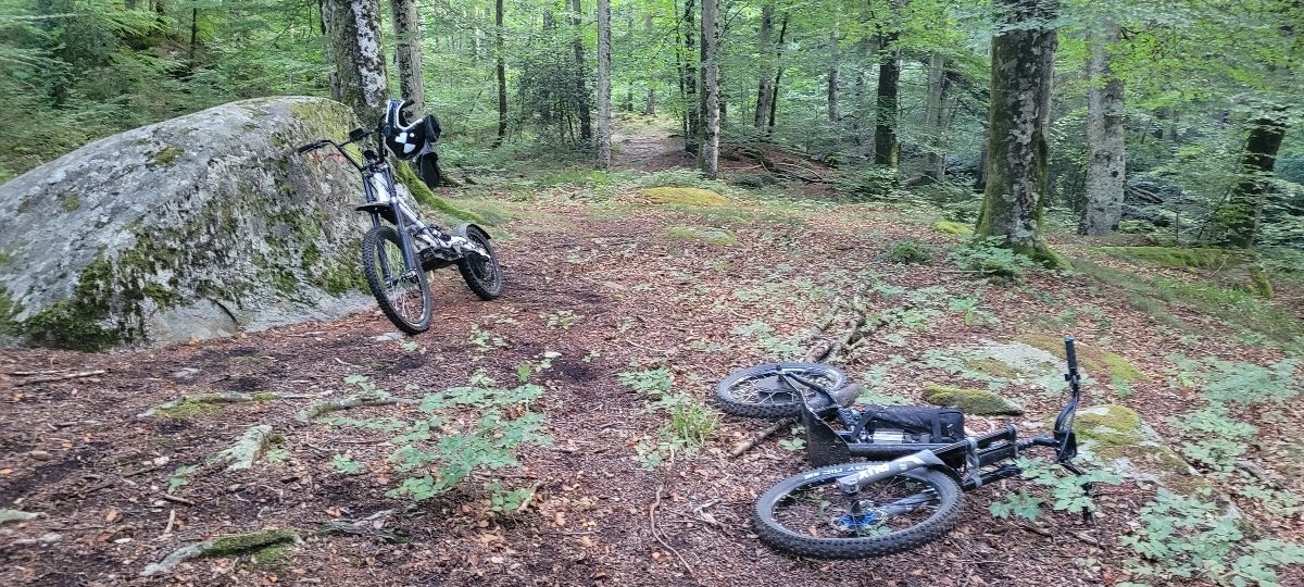 Trotinette Électrique à Allée du Stade