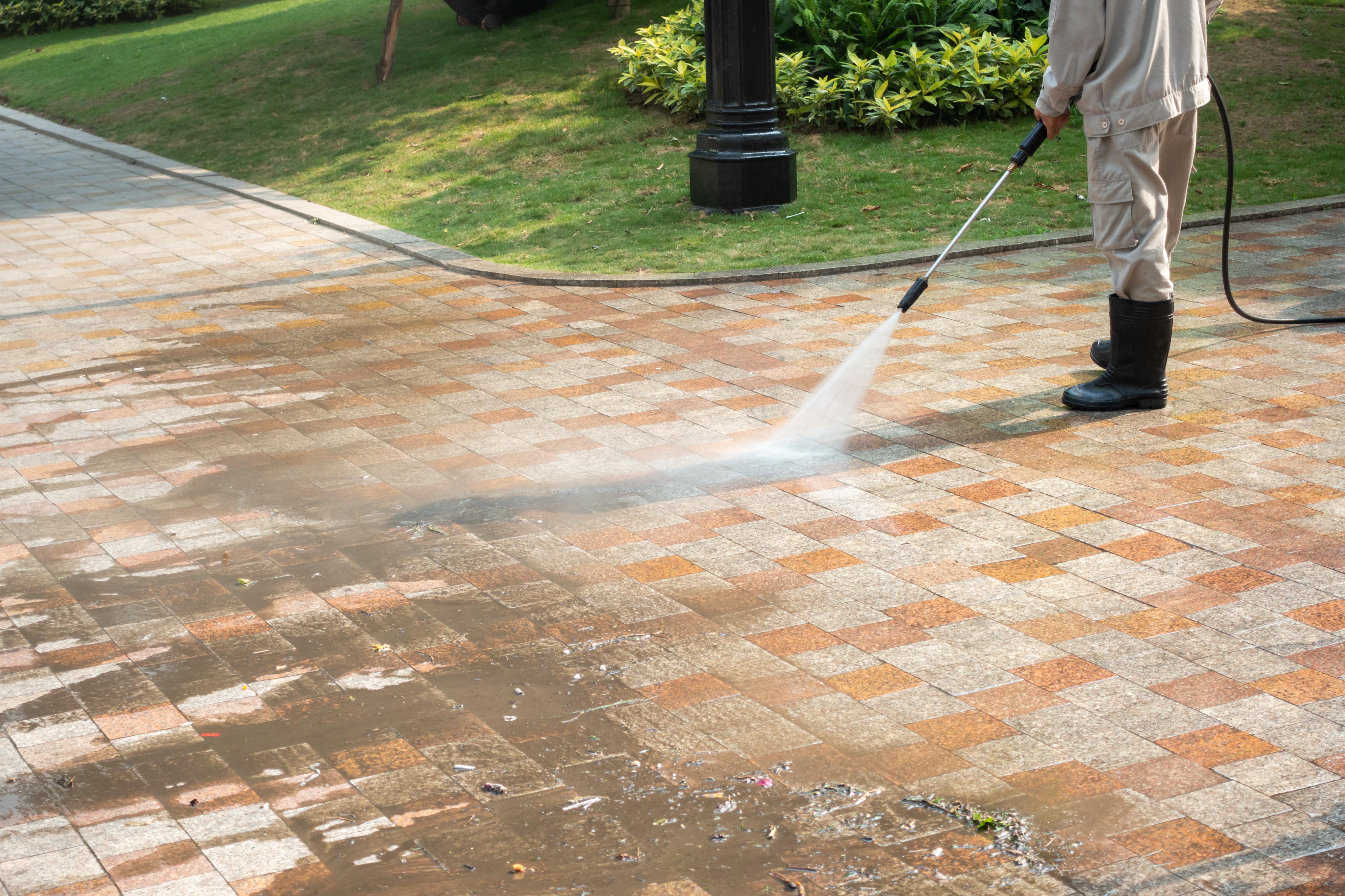 Deep/Regular Cleaning
