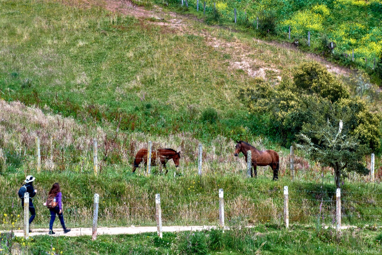 Chisacá- Ruralidad Bogotana