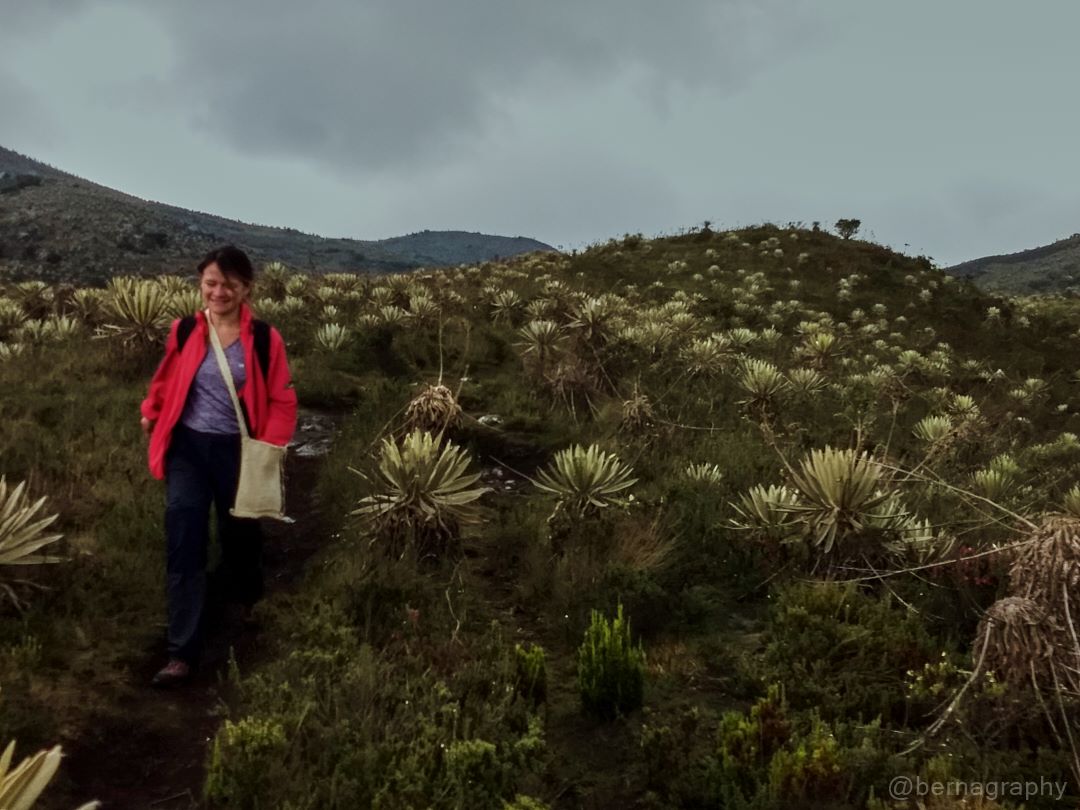 Cuchillas del Silencio - Sumapaz