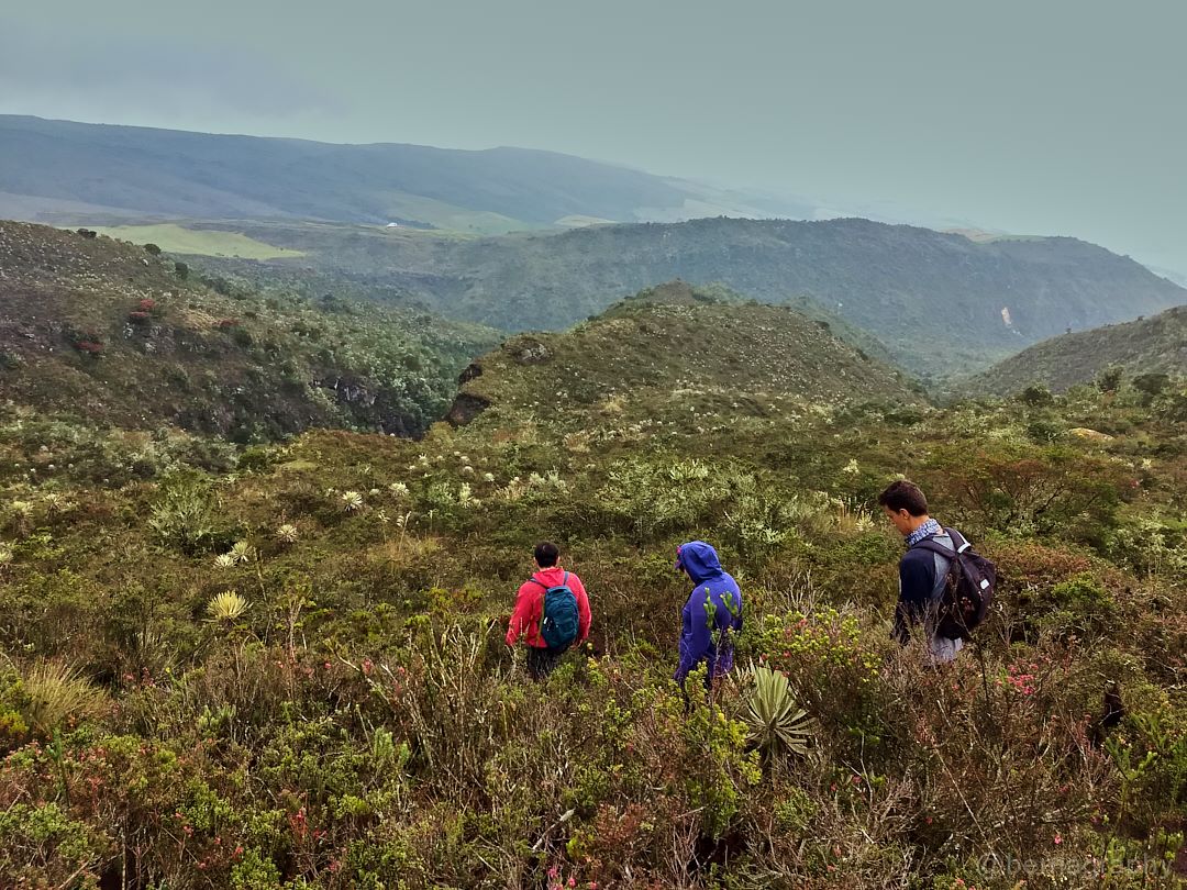 Cuchillas del Silencio - Sumapaz