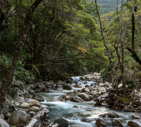 Parque Nacional Lago Puelo  — Patagonia