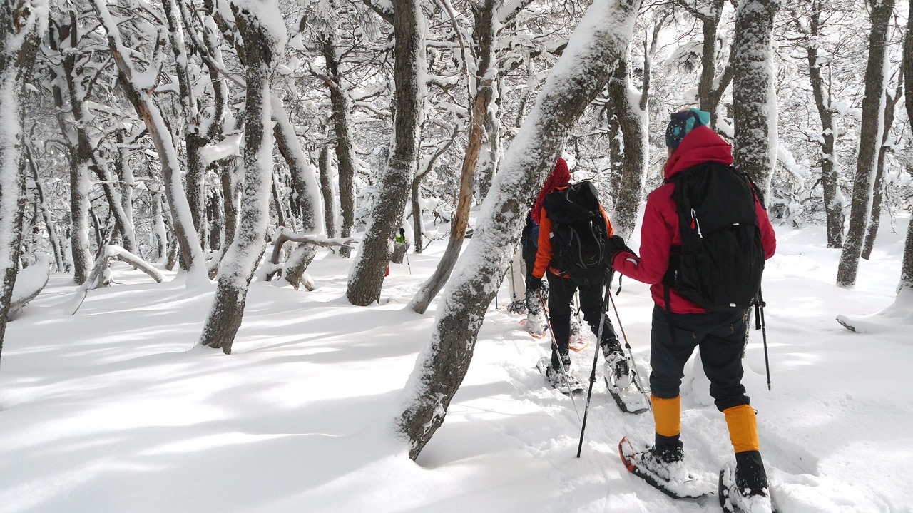 Sierra Colorada: Cabalgatas, nieve y la magia ancestral de la cultura Mapuche — Patagonia