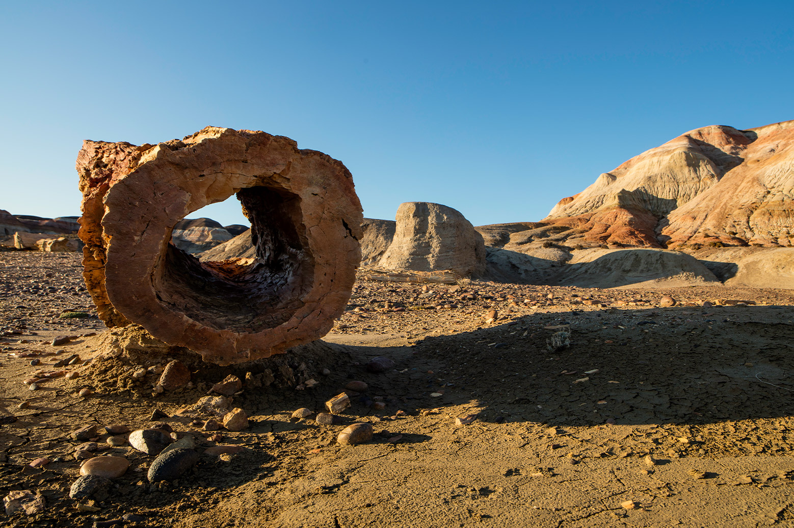 Bosque Petrificado de Sarmiento: El impactante cementerio de piedra de una selva prehistórica — Patagonia