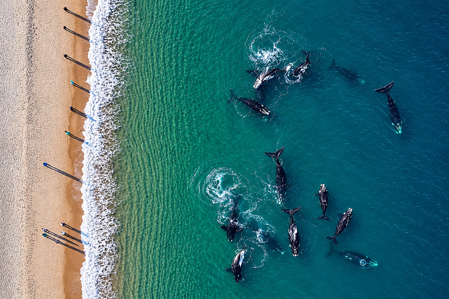 El Doradillo: El único lugar del mundo donde las ballenas te saludan desde la playa — Patagonia