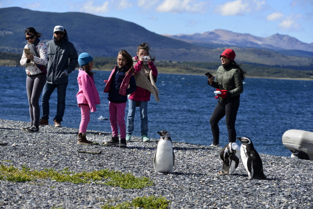 Pingüinera de Isla Martillo: Una Caminata entre los Dueños del Sur — Patagonia