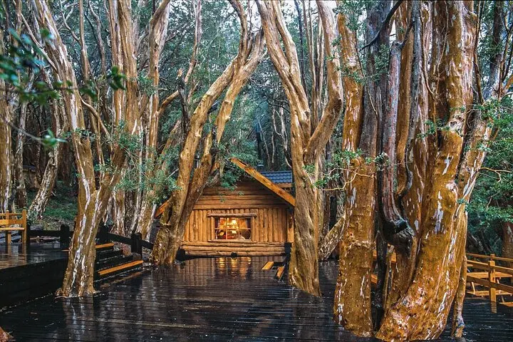 Joyas Lacustres: Navegación a Isla Victoria y el Bosque de Arrayanes