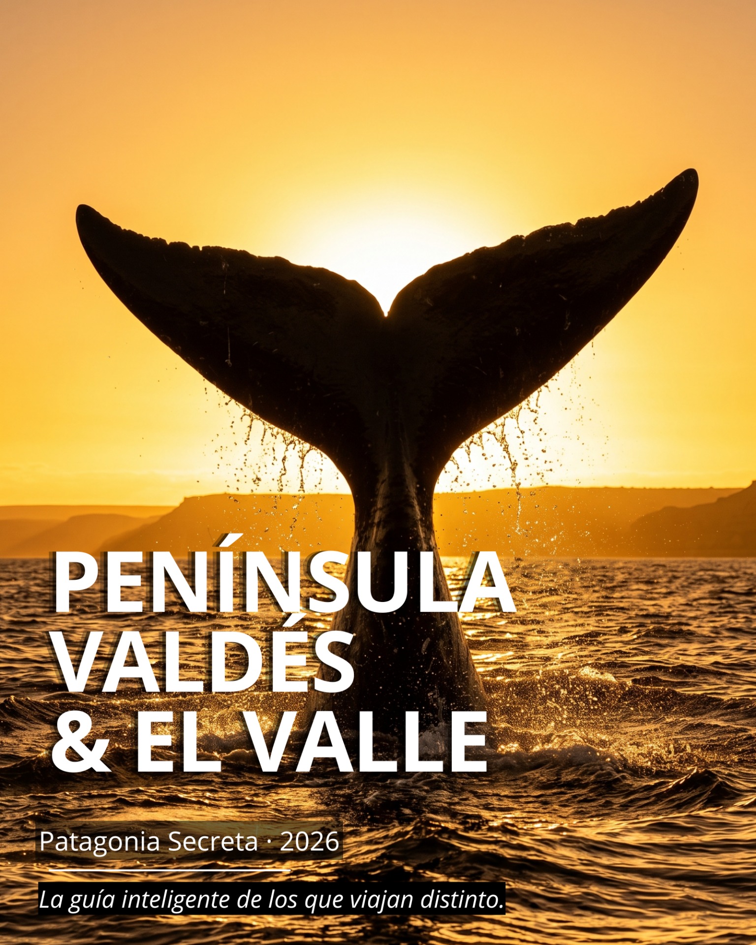 Peninsula valdes y El Valle — guía gratuita