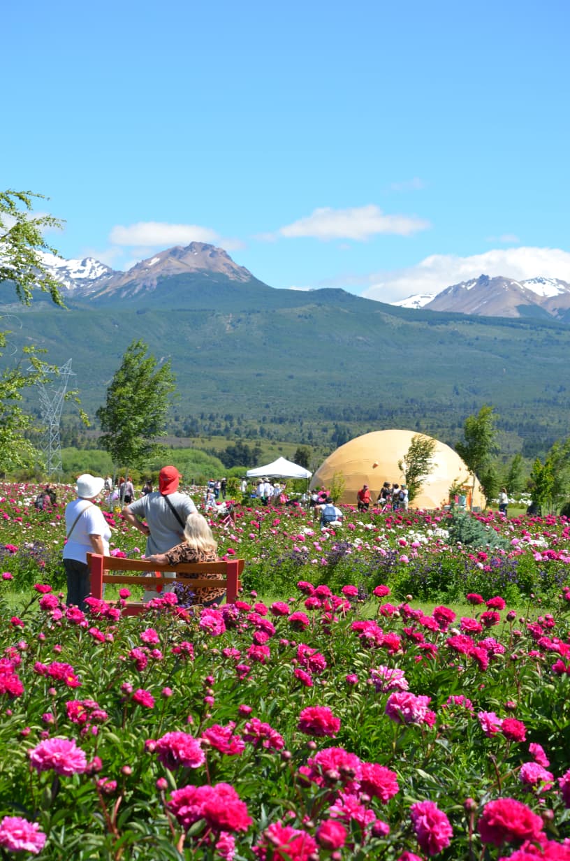 RUTA GALESA CON PEONIAS — Trevelin, Chubut — foto 3