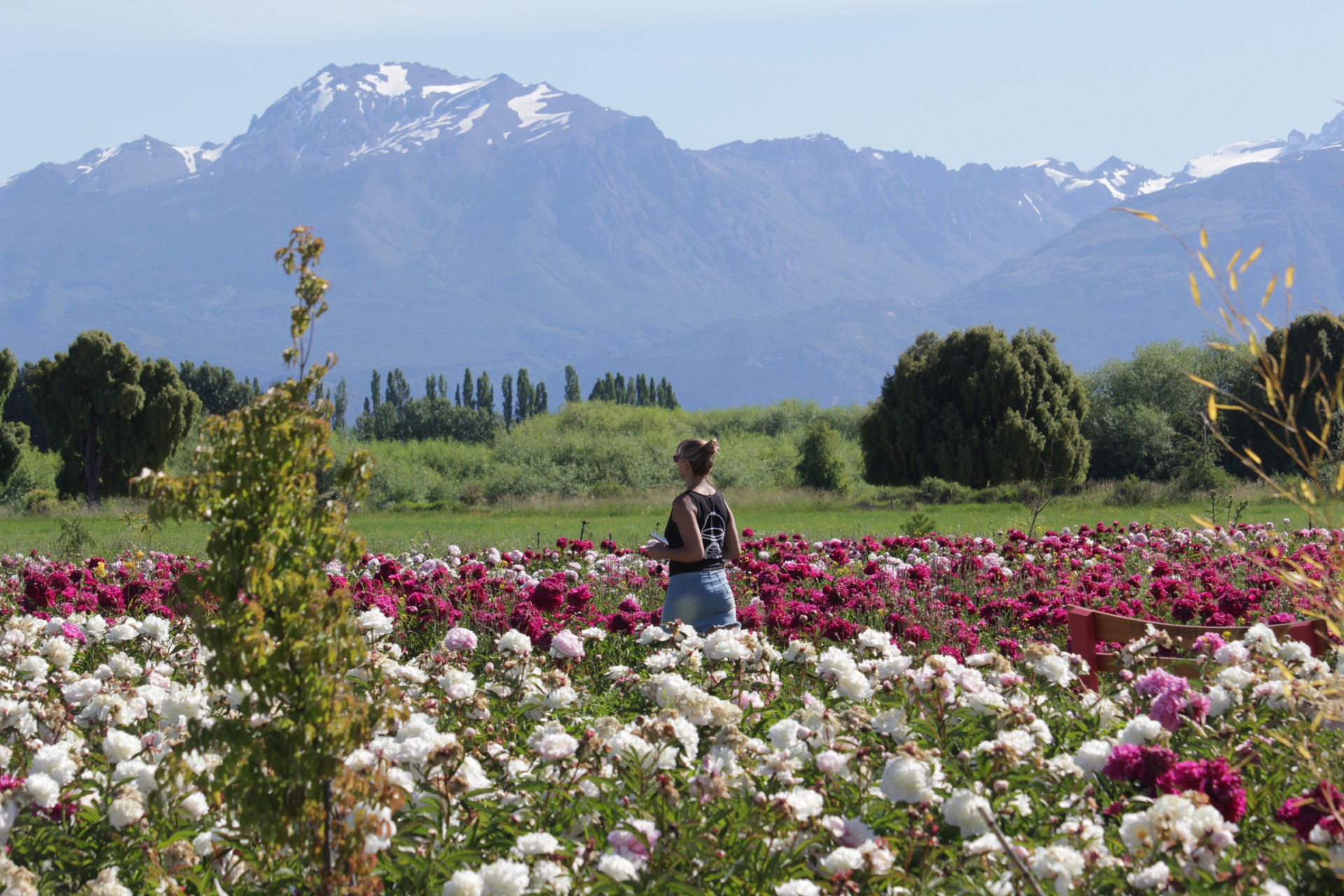 PEONIAS: 3 NOCHES DE ALOJAMIENTO — Trevelin, Chubut