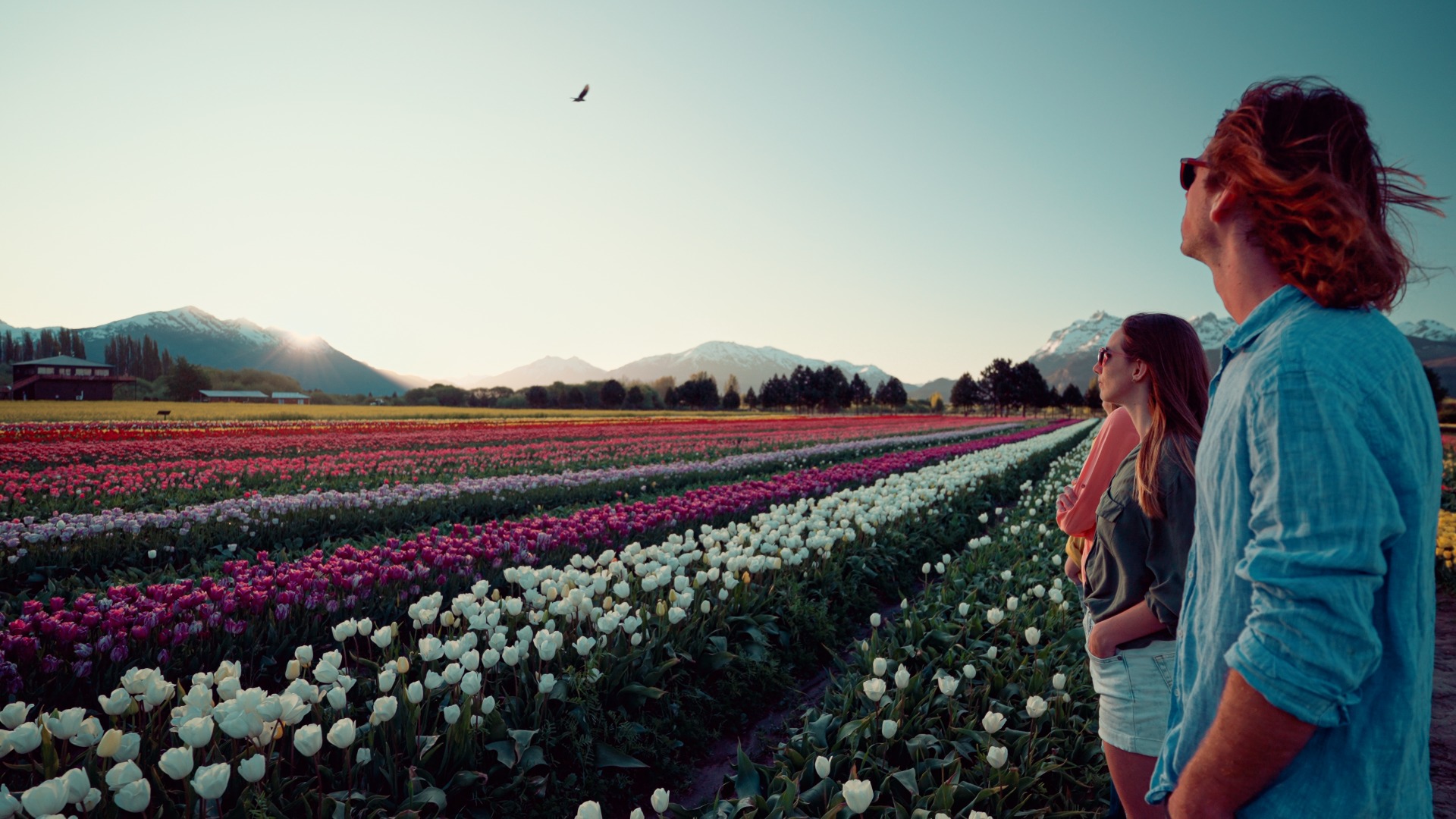 TREVELIN FULL DAY CON CAMPO DE TULIPANES — Trevelin, Chubut