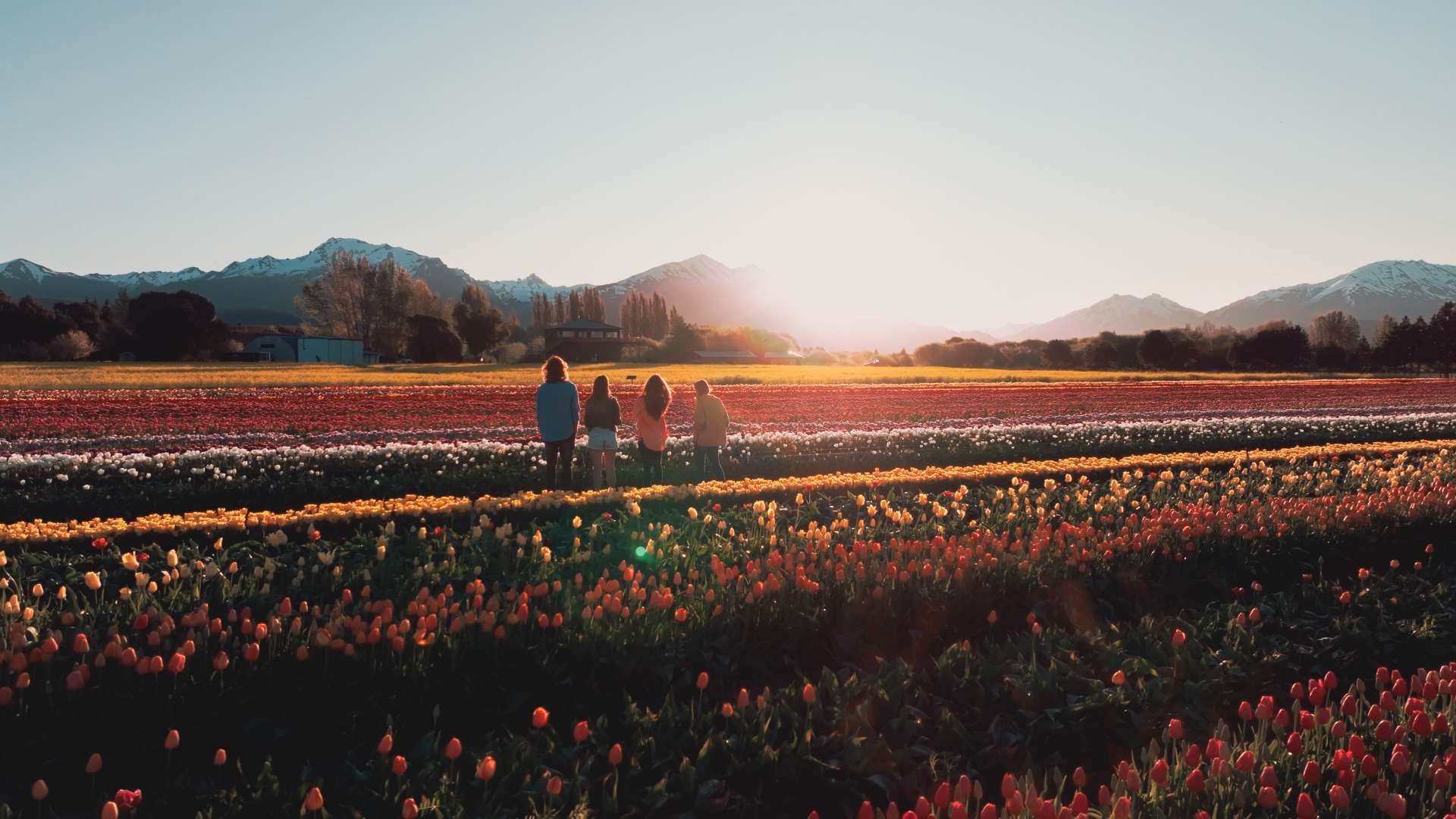 Ruta Galesa con visita al Campo de Tulipanes — Trevelin, CHUBUT — foto 3