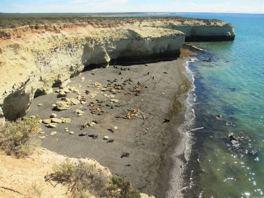 Punta Loma con City Tour — Puerto Madryn, Chubut