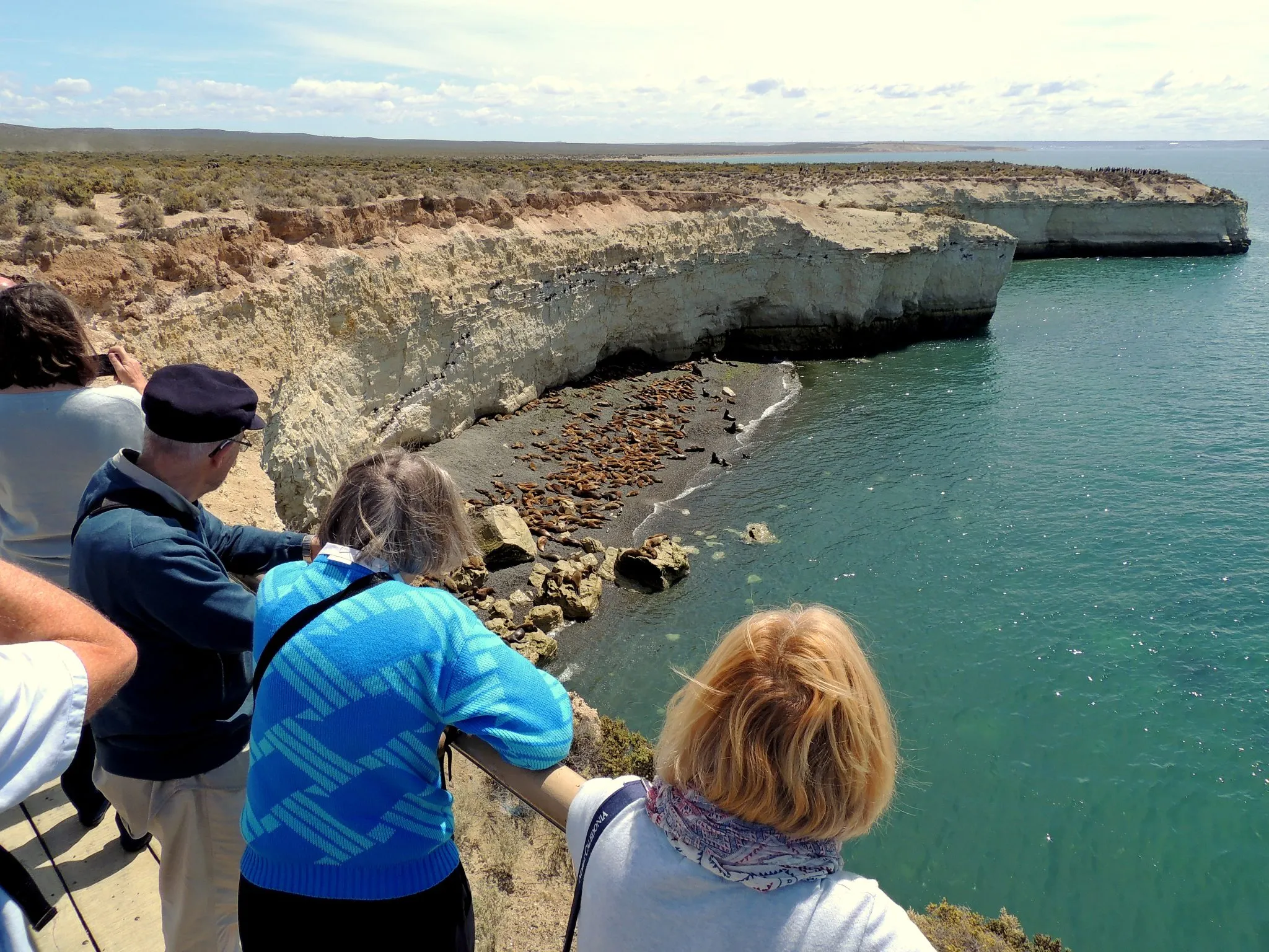 Punta Loma con City Tour — Puerto Madryn, Chubut — foto 2