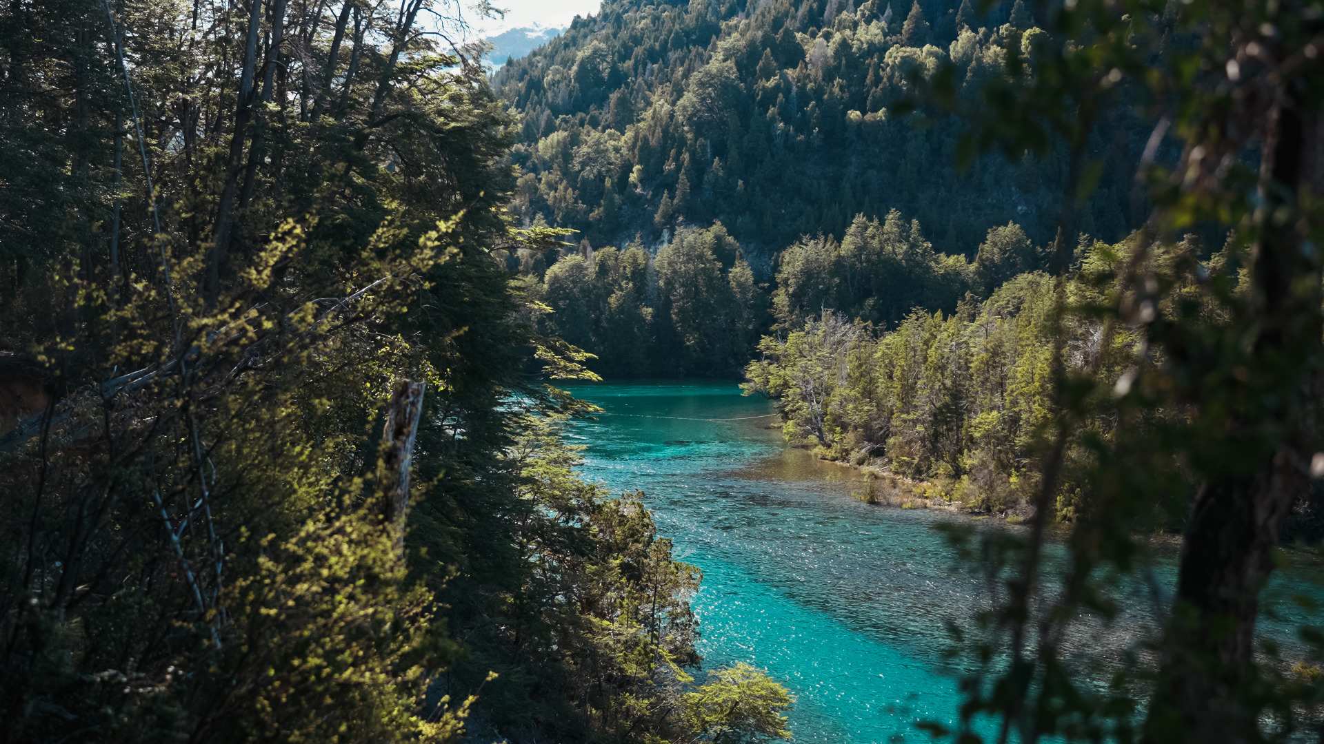 NAVEGACION RIO GRANDE | FULL-DAY — Aldea Escolar, Patagonia